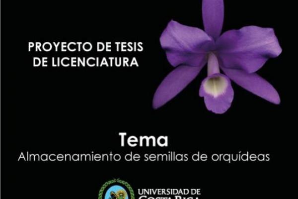 Proyecto de Tesis de Licenciatura